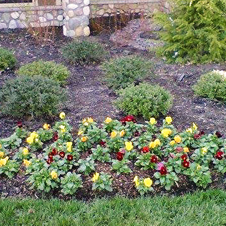 Landscaping